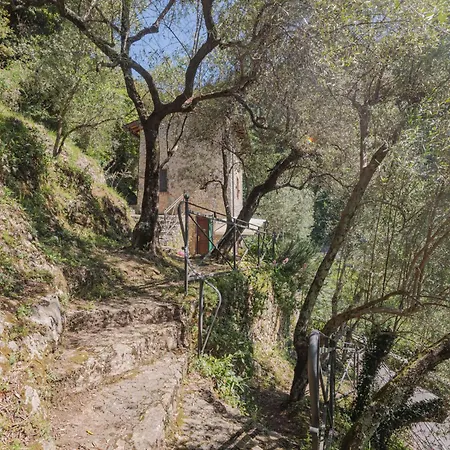 Vakantiehuis L'oliveto By Interhome