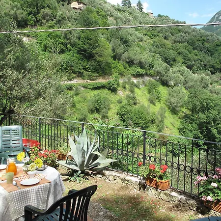 L'oliveto By Interhome