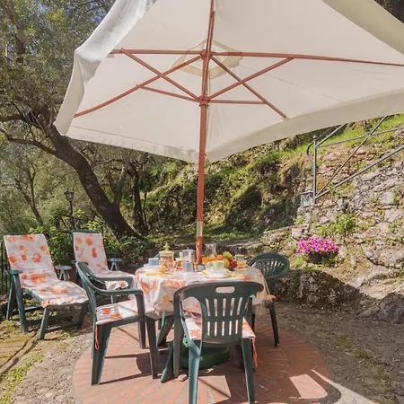 L'oliveto By Interhome Vakantiehuis *