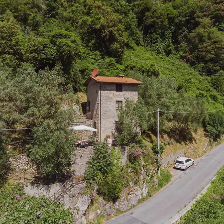 L'oliveto By Interhome