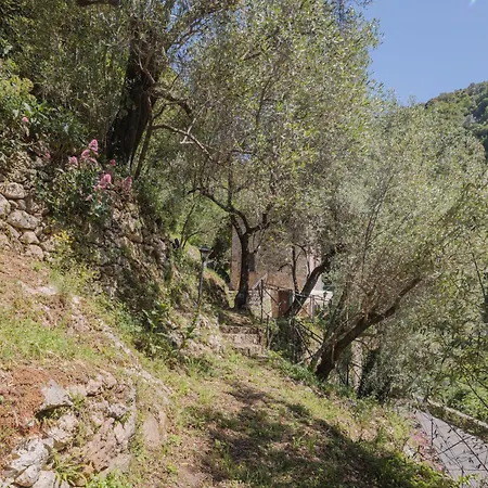 Σπίτι διακοπών L'oliveto By Interhome Casoli (Tuscany)